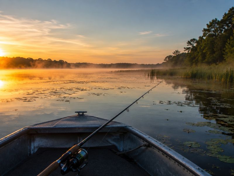 Fishing rod extended over the bow of a small boat at dawn on the Fox Chain O'Lakes, mist rising off calm water near a weed-edged shoreline